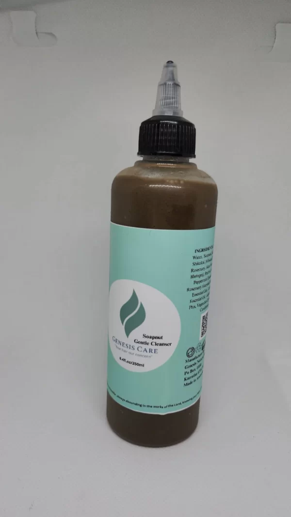 Soapnut Gentle Cleanser